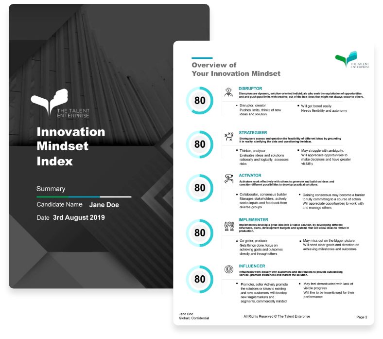 Innovation Mindset Index™